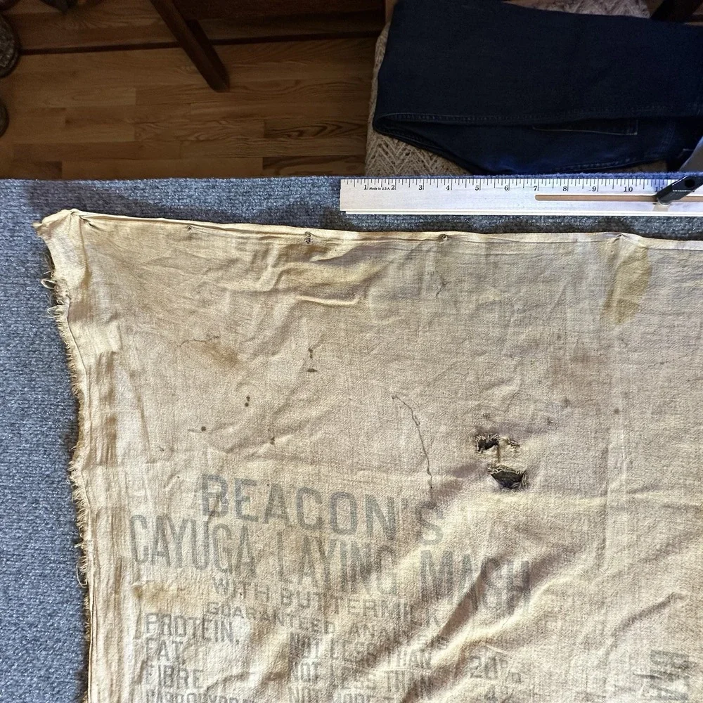 Vintage Cayuga Chicken Feed Bag‎ Beacon Milling Co Laying Mash Indian Chief Head
